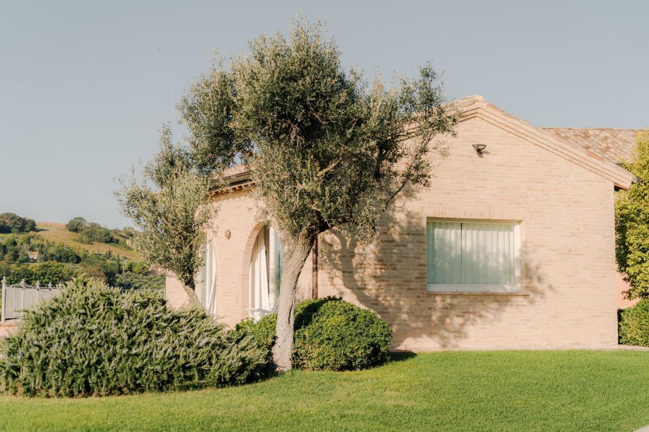 Nontiscordardime B&B Villa Agriturismo Civitanova Marche Exterior foto